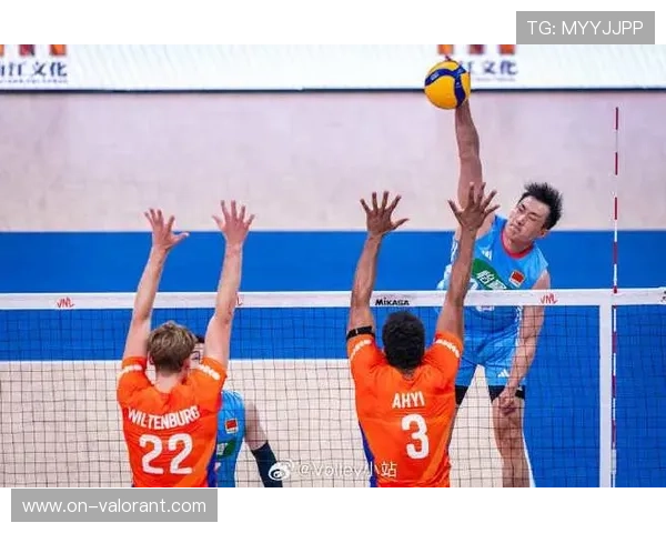 荷兰男排欧洲实力强劲 B组竞争悬念重重引人关注